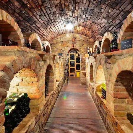 Vinarsky Dvur Guest house Valtice